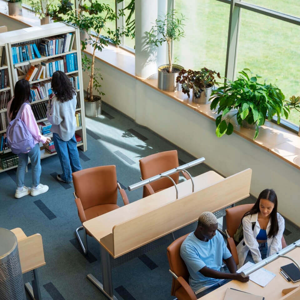 Birds-eye-view of university students working collaboratively in a library